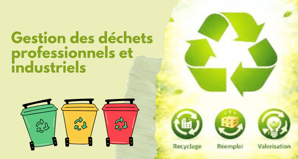 collecte des déchets