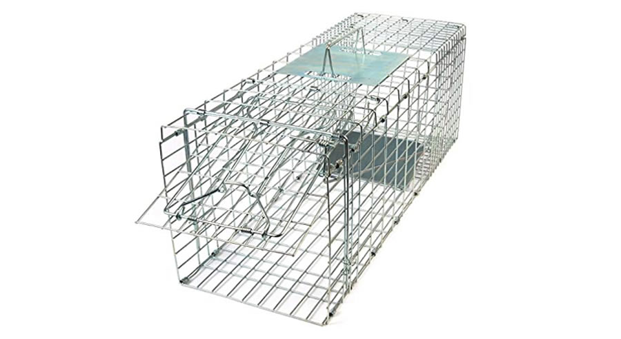 Cage metallique pour capture des chats