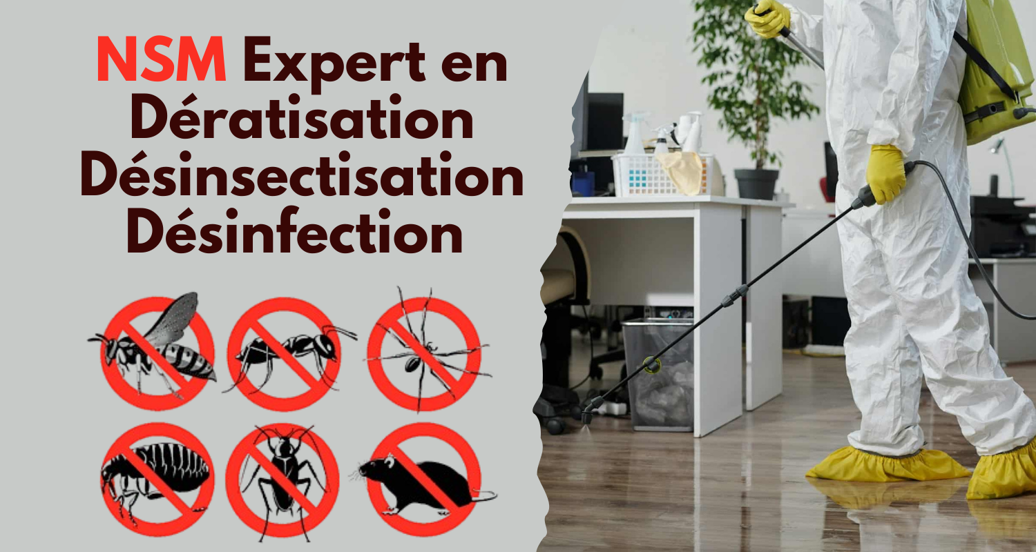 dératisation désinsectisation désinfection